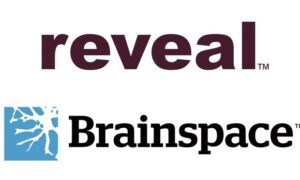 how much is Brainspace cloud review